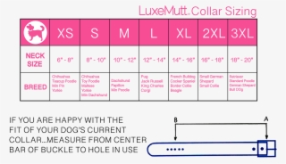 Size Chart - Inventory #5704226