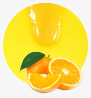 Com/wp Milled Cells - Naranjas (5 Kg) #5705576