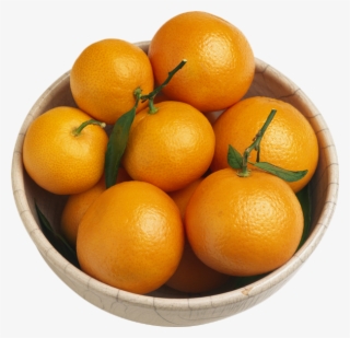 Agrumes - Citrus × Sinensis #5705744