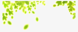Spring Breeze Blowing Leaves Cartoon Transparent - Plant #5709052