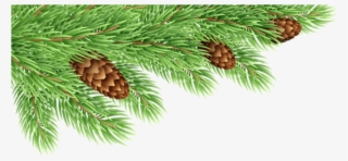 Free Png Pine Branches Decor Transparent Png Images - Fir Branches Clipart #5709122