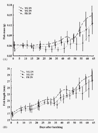 Growth Rate In Mass And Length (b) From Hatching To - Diagram #5709972