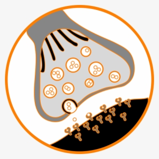 Next - Synapse Png #5710483