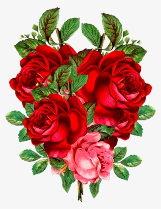 Red Rose Png, Flower Png Images, Red Flowers, Banners, #5712489