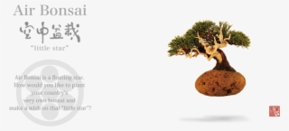 Hoshinchu Air Bonsai Garden - Product Hunt #5714373