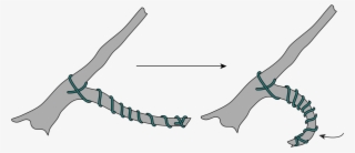 Open - Wire A Bonsai #5714549