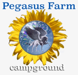 Pegasus Farm Campground - Pegasus #5714779