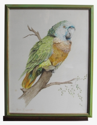Green Parrot John Baxendale 1919-1982 English Bird - Parrot #5715289