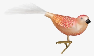 Old World Christmas Just Peachy Song Bird Glass Ornament - Putti Fine Furnishings #5715396