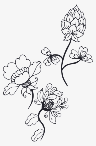 Black And White Fleshy Cartoon Transparent - Chrysanths #5716361