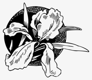 Black And White Flower Petal - Png Cicek Siyah Beyaz #5716371 Black And White Flower Petal - Png Cicek Siyah Beyaz #5716371