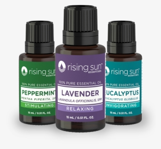 Essential Oils - Brown Sugar Fragrance Oil 1/2 Oz #5716522