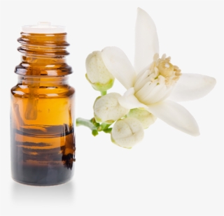 Organic Neroli Essential Oil - Kerstin Florian Rehydrating Neroli Facial Oil, 1 Oz #5716834