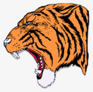 The Reeds Spring Wolves Defeat The Hollister Tigers - Hollister High School Tiger #5720257