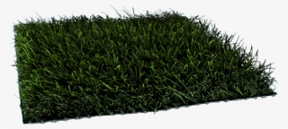 Outdoor Fields - Lawn #5721489