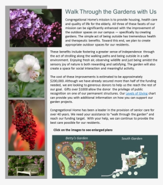 Geranium X Cantabrigiense Biokovo #5721545