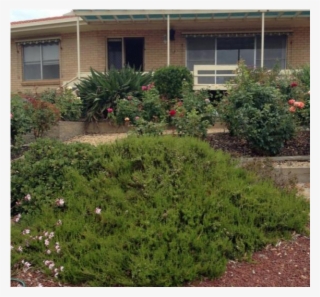 Home Overlooking The Mighty Murray River - Yard #5721763