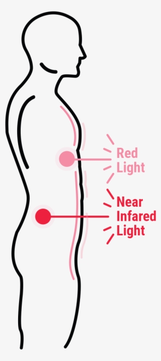 50/50 Combination Of Red & Near-infrared Light - Illustration #5722256