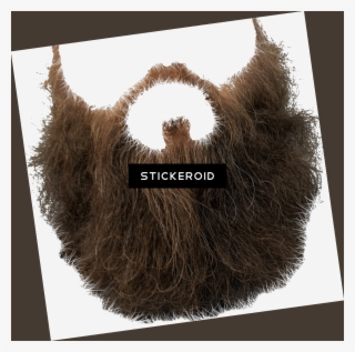 Beard Clip Art - Bart Mit Transparentem Hintergrund #5723678