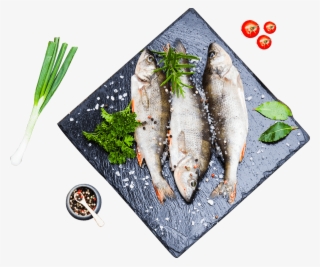 Mackerel - Design #5726378