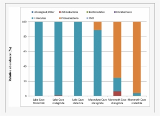 Bacterial Population Composition At Phylum Level In - Bacteria #5726712