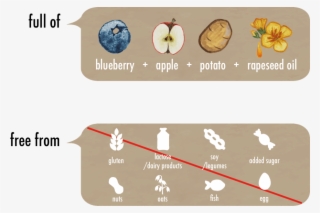 Blueberry - Veg Of Lund My Foodie #5727235