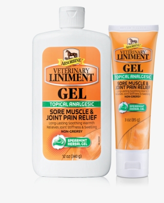 Absorbine® Veterinary Liniment Gel - Absorbine Veterinary Liniment Gel #5732683