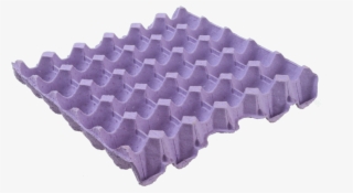 Cargo Egg Tray - Exercise Mat #5732889