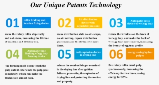 Recycled Full Automatic Pulp Forming Molding Machine - Egg Carton #5732946