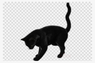 Cat Clipart Black Cat Bombay Cat Korat - Vector Graphics #5734666 Cat Clipart Black Cat Bombay Cat Korat - Vector Graphics #5734666