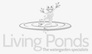 Water Plants - Floating Azolla - Pond #5736447