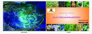 Book-24 - Electrohomeopathy #5736709