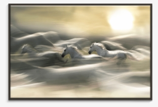 Photographers Lane Morning Dream - Trademark Art 'morning Dream' Graphic Art Print #5737343