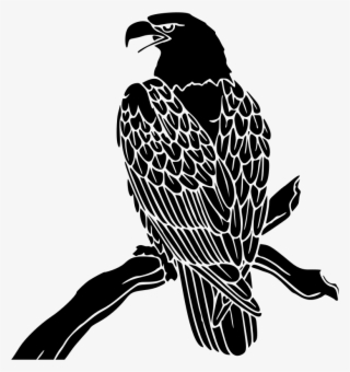 Bald Eagle Inverse - Bald Eagle #5737868