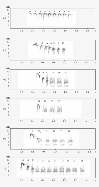 1 Sonagrams Of Carolina Chickadee Calls That Vary In - Calligraphy #5738349