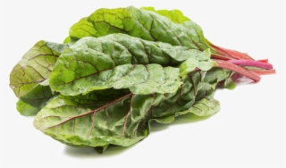 Png Photo Arts - Red Swiss Chard #5738350