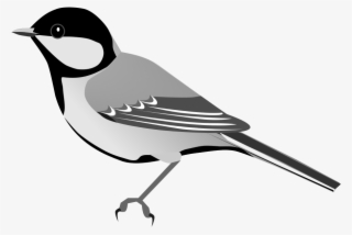 Open - Bird #5738747