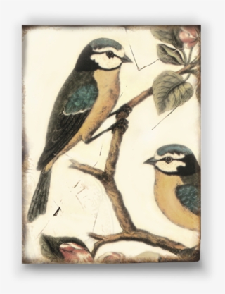 The Golden Age - Royal Stafford Decoupage Salad Plate #5738940