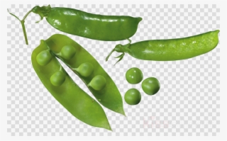 Download Natural Foods Clipart Snap Pea Serrano Pepper - Green Pea #5740738