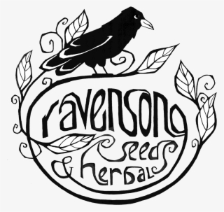 Freeuse Library Bluebonnets Drawing Fireweed - Oat #5741084