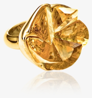 Elica Ring #5741090