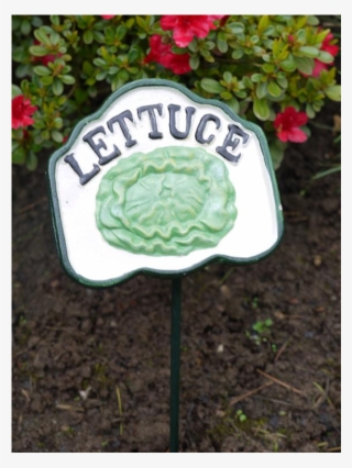 Cast Iron Garden Pot Outdoor Decorative Vegetable Plant - Lettuce #5741245