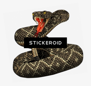 Rattlesnake - Eastern Diamondback Rattlesnake Clipart #5741296