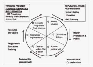 Social Process Model For A National Idd Control Programme - Process Control Programme #5746113
