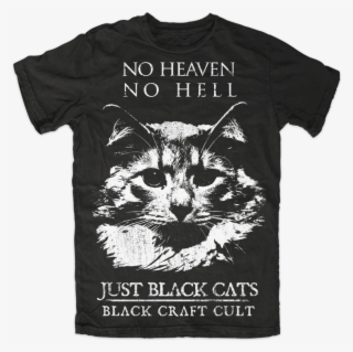 No Heaven No Hell Just Black Cats #5746380