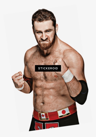 Sami Zayn #5746924