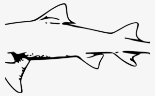 Great White Shark Clipart Traceable #5747714