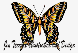 Butterfly Illustration Art In Colored Pencil - Rumah #5747899