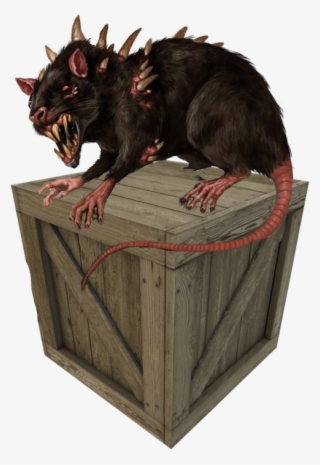 Rat-bilge - Rato Atroz D&d #5748581