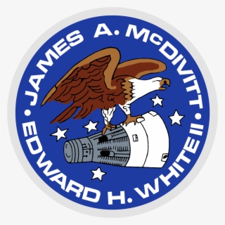 Gemini 4 Logo #5748752
